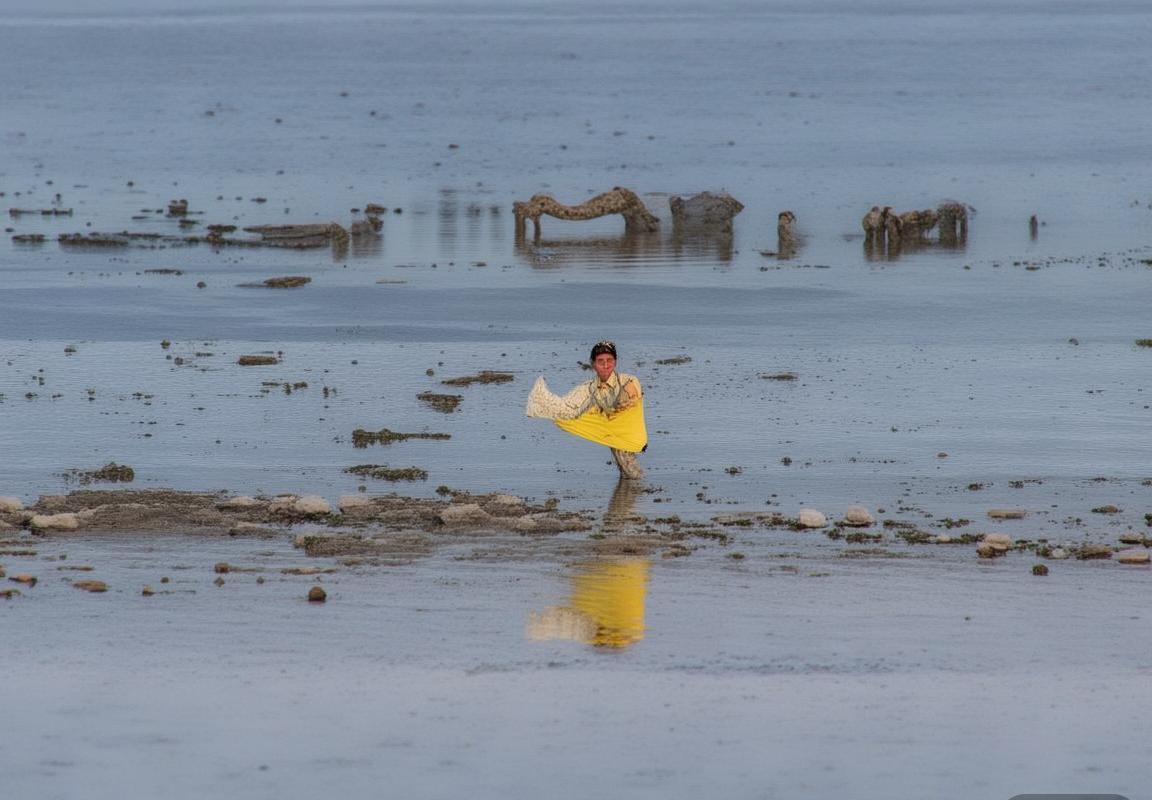 费兰托雷斯：从青训新星到世界足坛璀璨明星的成长之路