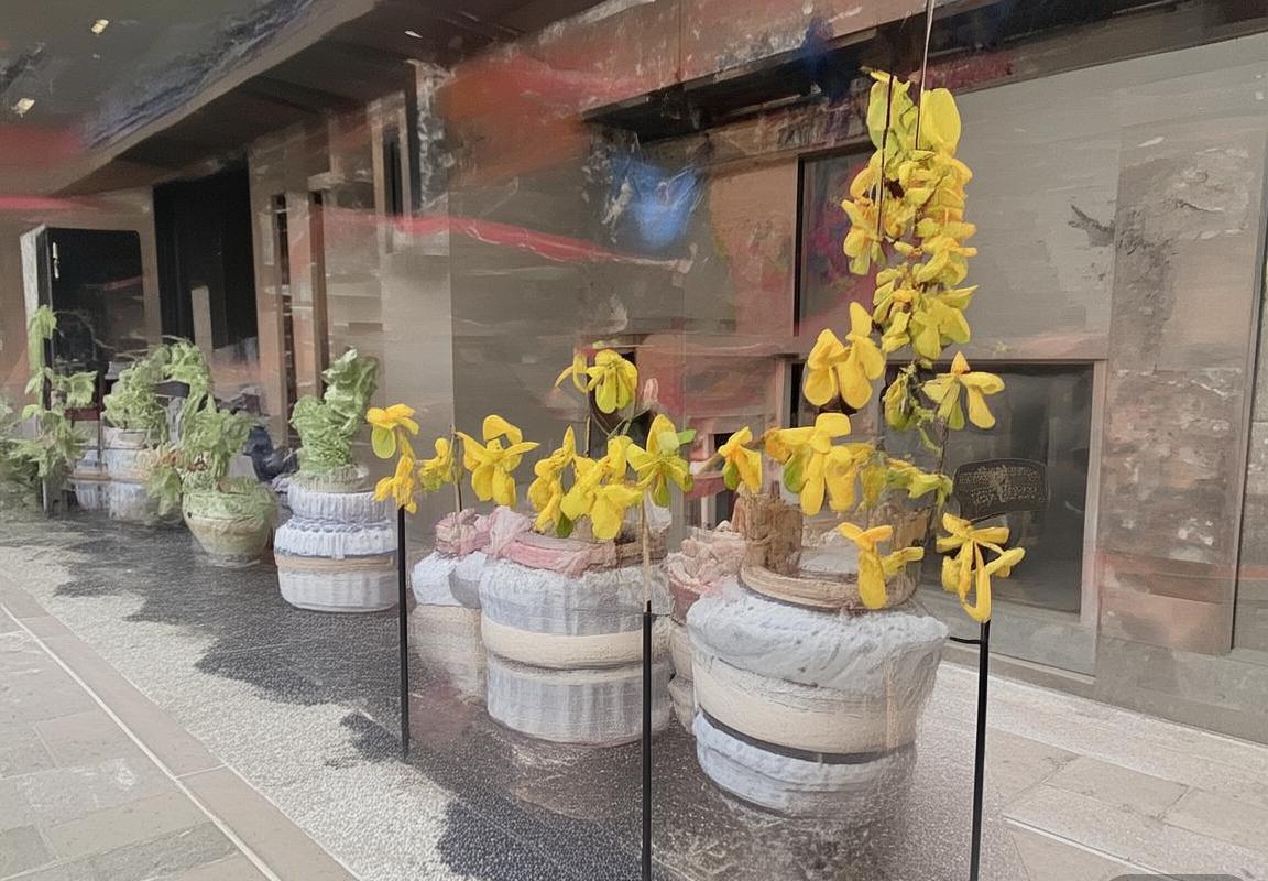 2017年岚节目创新变革：内容形式创新与观众心理变迁解析(图4)